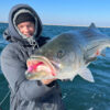 Ahi Casting Lure - Image 7