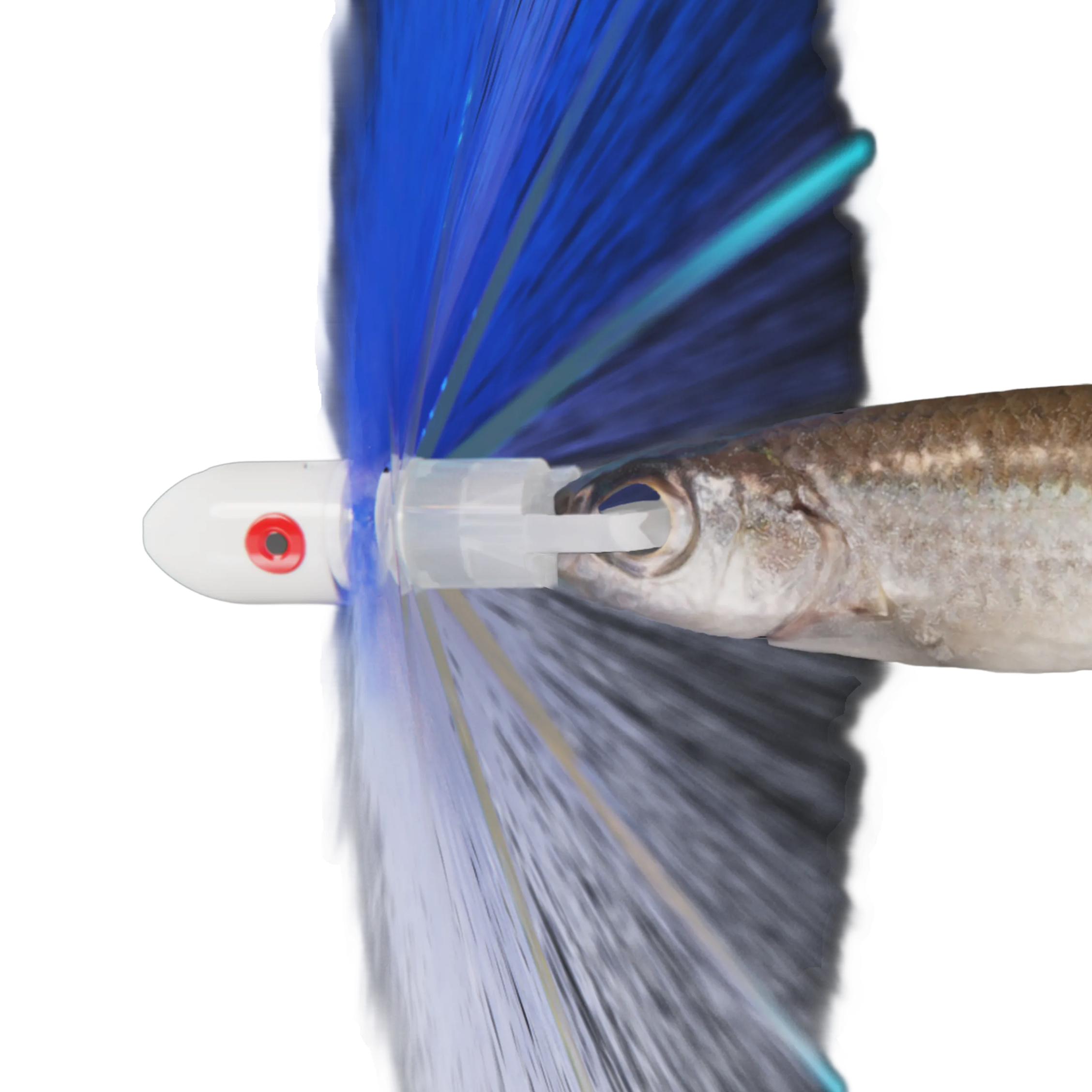 Ballyhoo Straight Rig Style